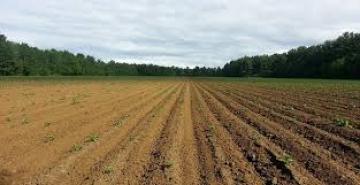 Υψηλές απώλειες γόνιμου εδάφους με τις συμβατικές πρακτικές καλλιέργειας