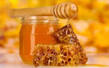 Ελληνικό μέλι: η αντιβακτηριακή δράση του