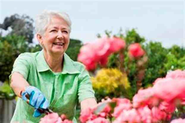 Tornado Proof Gardening - Πώς να προστατεύσετε τον κήπο σας από έναν ανεμοστρόβιλο