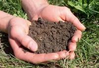 Η βάση για υγιή φυτά: χώμα καλής ποιότητας