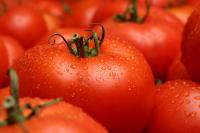 Πώς θα συλλέξουμε σπόρους από ώριμη ντομάτα