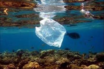 Αλόννησος: πρώτη περιοχή της Ελλάδας που καταργεί την πλαστική σακούλα