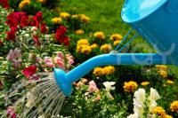 Πώς μπορώ να περιορίσω τη χρήση νερού στον κήπο μου;